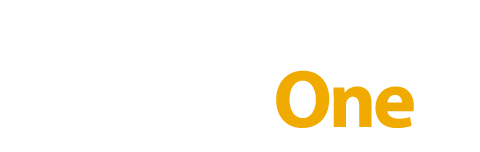 visual d sap business one