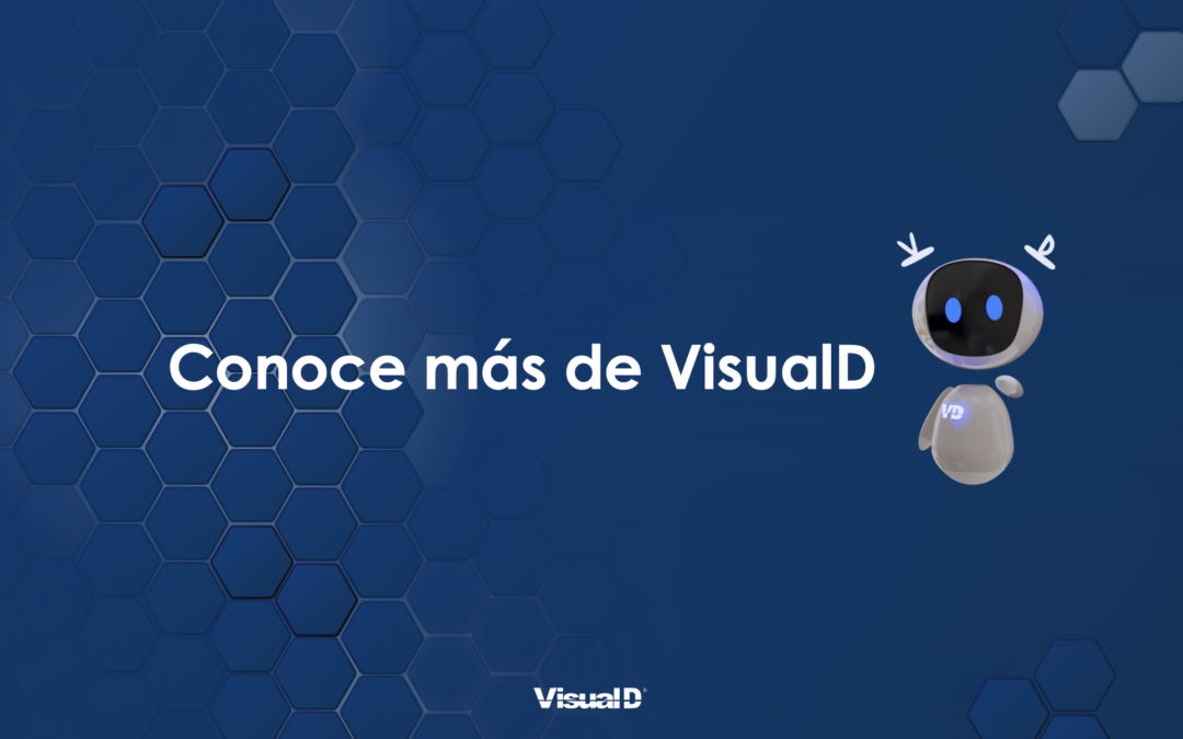 Conoce más de VisualD